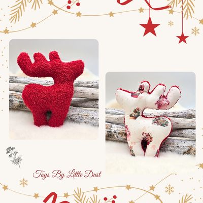 Comète de Noël 🎄Valériane