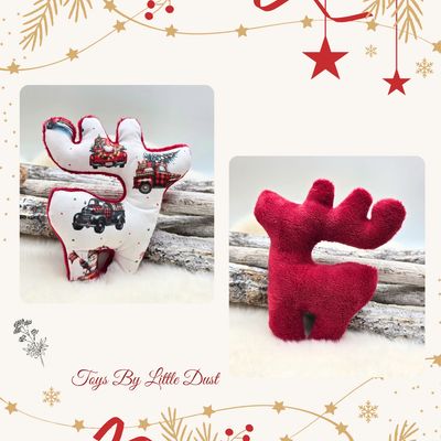 Comète de Noël 🎄Valériane