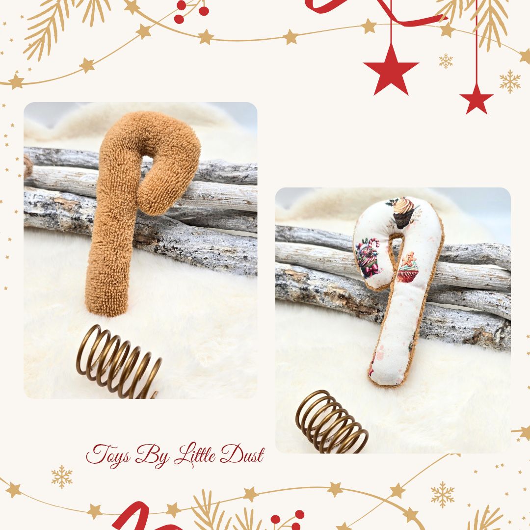 Candy Cane Joy  🎄Menthe