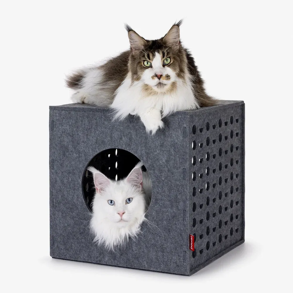 Cube de jeu pour chats Gris