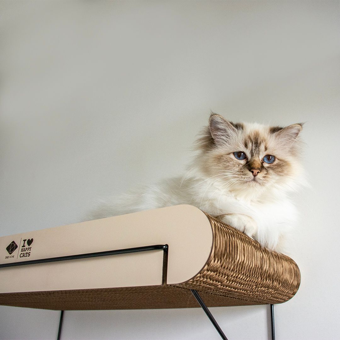 Étagère murale en carton pour Happy Cats