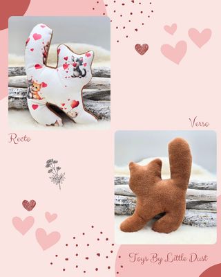 💖 Sushi  Édition Love 💖