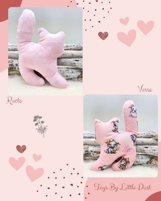 💖 Sushi  Édition Love 💖