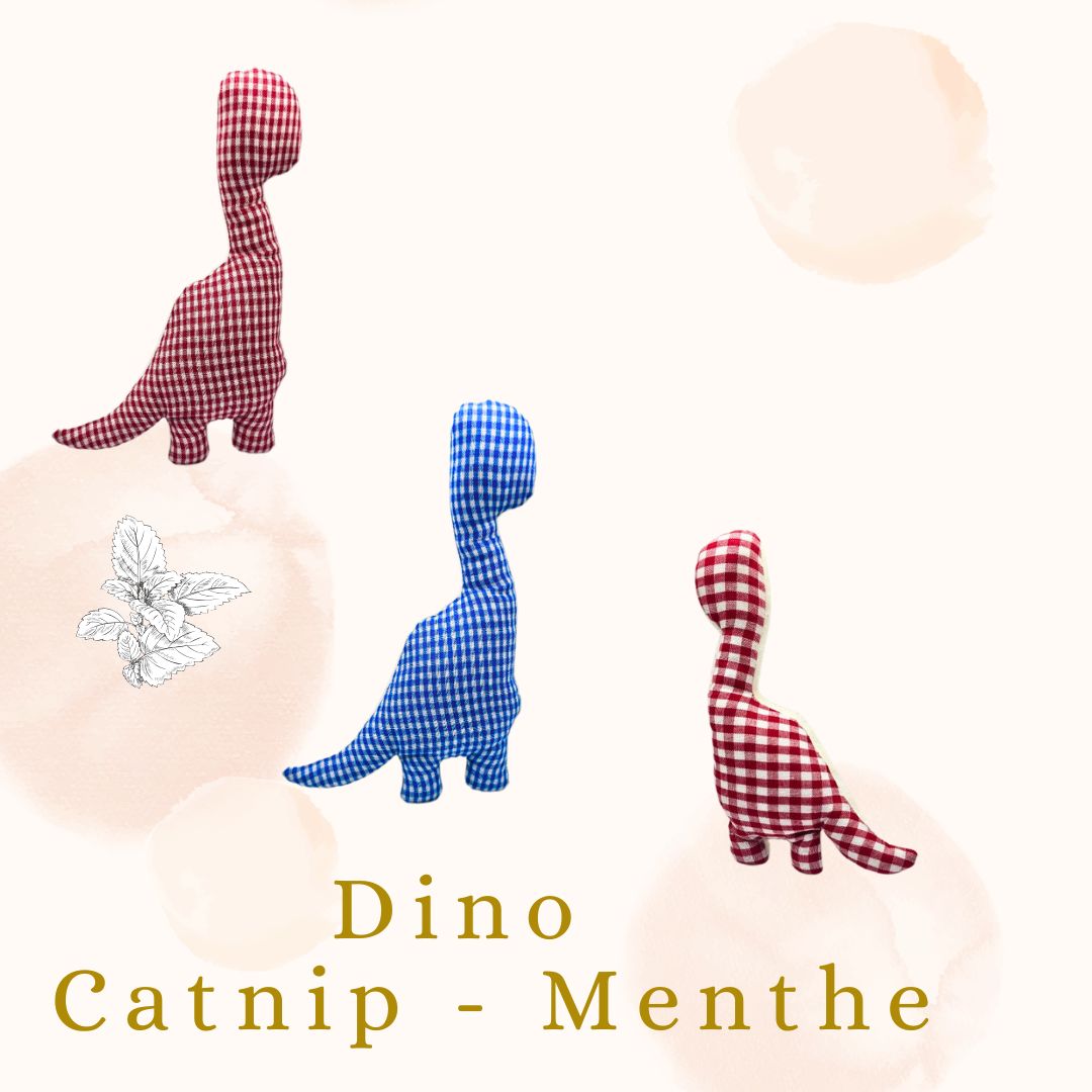 🍃Dino catnip menthe🍃