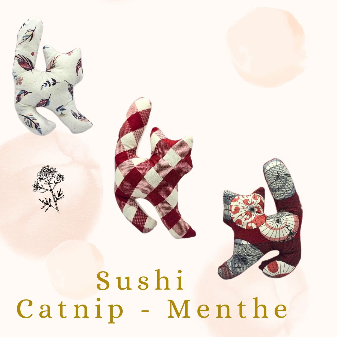🍃Sushi - Catnip Menthe 🍃