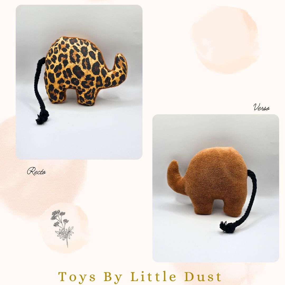 🎁 Peanut Cordie - Valériane 🎁