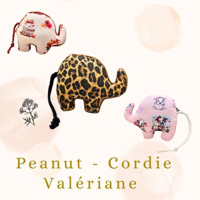 Peanut Cordie - Valériane  🌿🌸