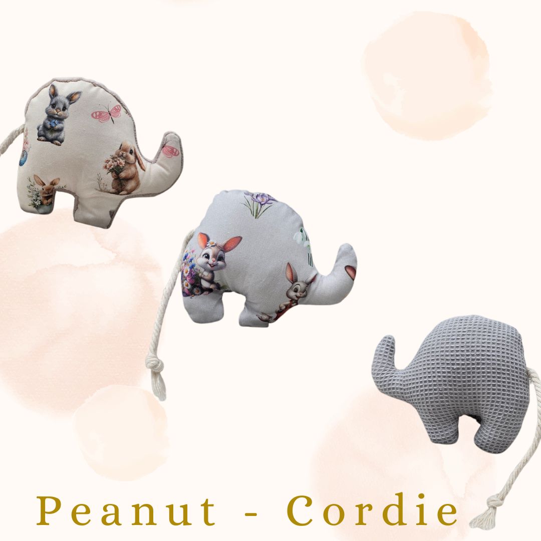 🌸 🐣 Peanut Cordie Édition Printemps &amp; Pâques Valériane