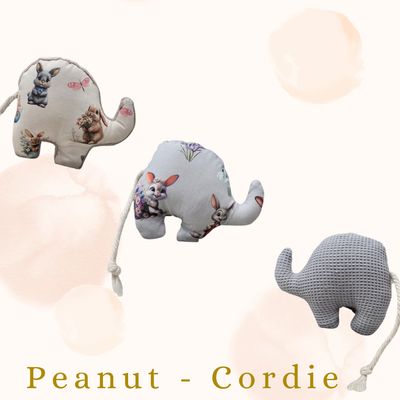 🌸 🐣 Peanut Cordie Édition Printemps &amp; Pâques Valériane