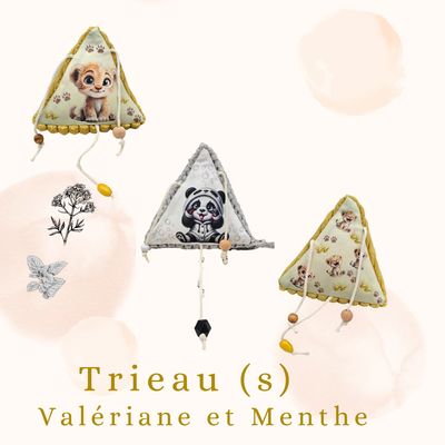 🐾Trieau (S) Jouet Interactif en Forme de Triangle ​🐾  valeriane &amp; menthe