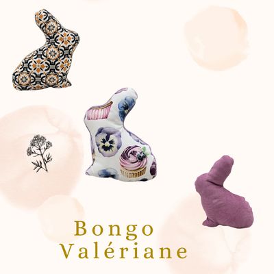 🐾Bongo - Valériane 🌿🌸