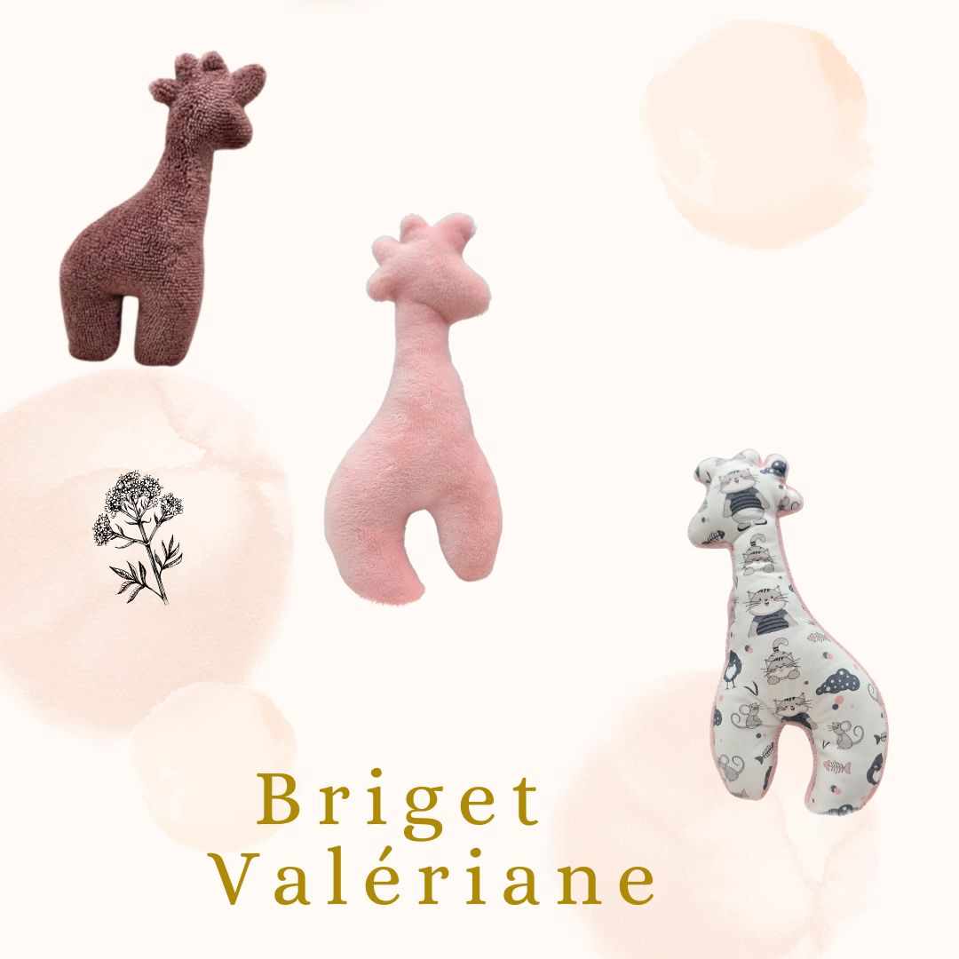 🐾 Briget la Girafe :Feline Fantasy Édition  Valériane 🌿🌸