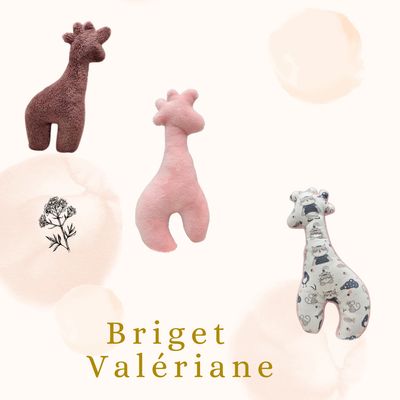 🐾 Briget la Girafe :Feline Fantasy Édition  Valériane 🌿🌸