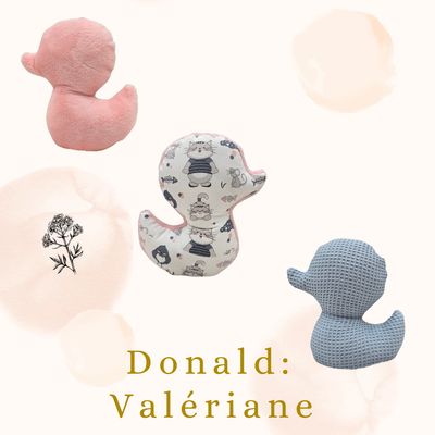 🐾 Donald le Petit Canard: Feline Fantasy Édition Valériane 🌿🌸
