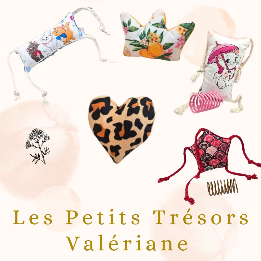 Les Petits Trésors :  Édition Valériane 🌿🌸