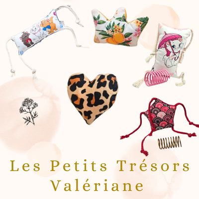 Les Petits Trésors :  Édition Valériane 🌿🌸