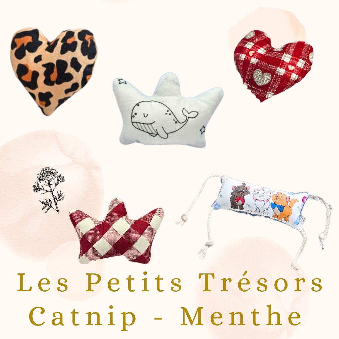 🍃Les Petits Trésors : Catnip Menthe 🍃