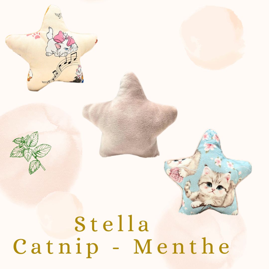 🐾🍃Stella – Feline Fantasy Édition Catnip Menthe🍃