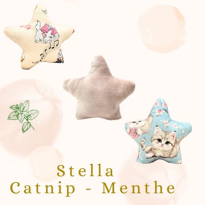 🐾🍃Stella – Feline Fantasy Édition Catnip Menthe🍃