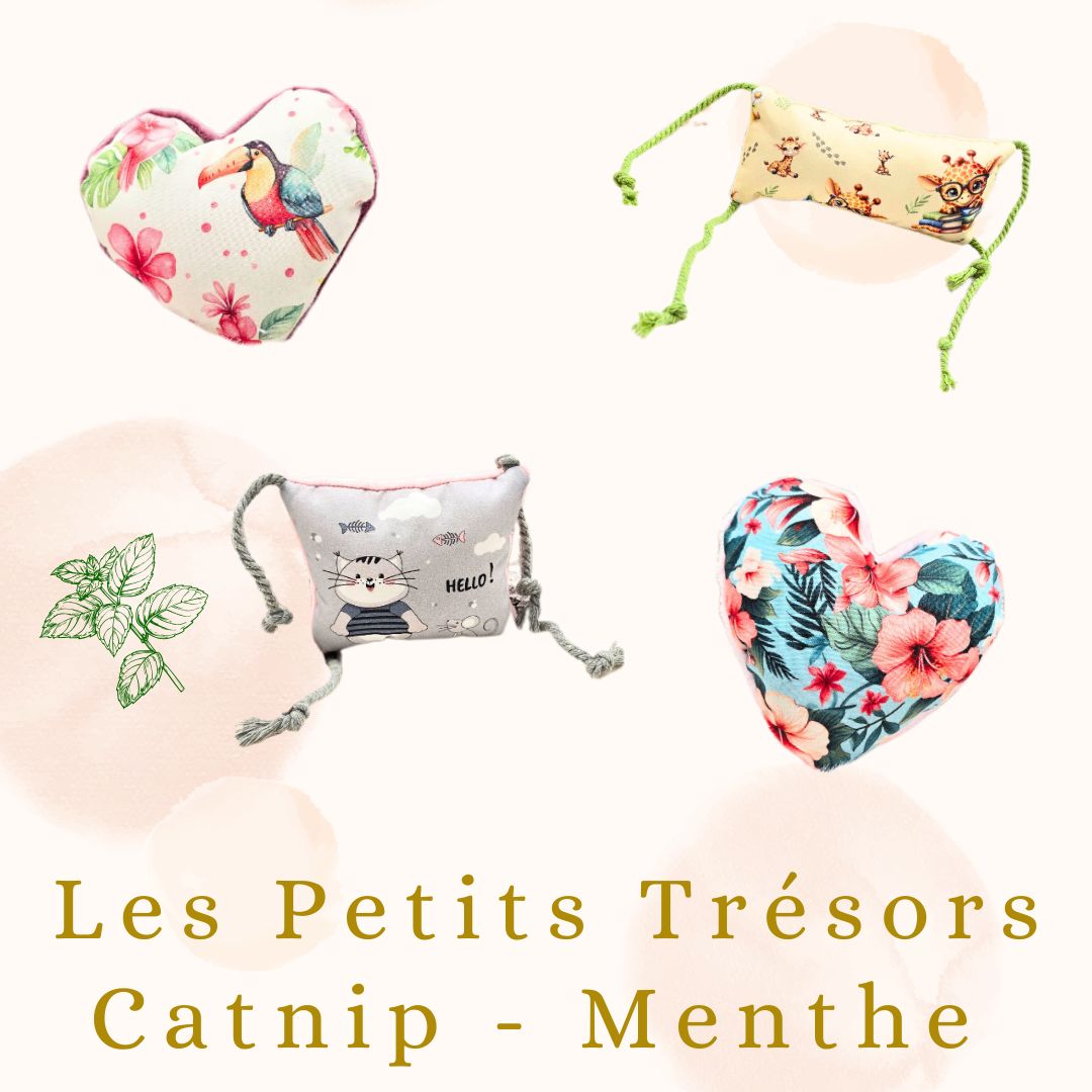 🐾🍃 Les Petits Trésors : Feline Fantasy Catnip Menthe🍃