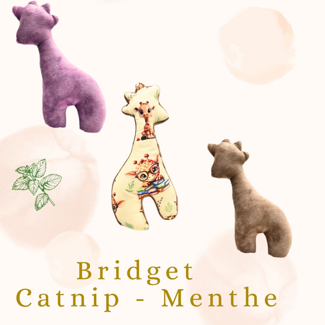 🐾 🍃 Briget la Girafe :Feline Fantasy Édition Catnip Menthe🍃