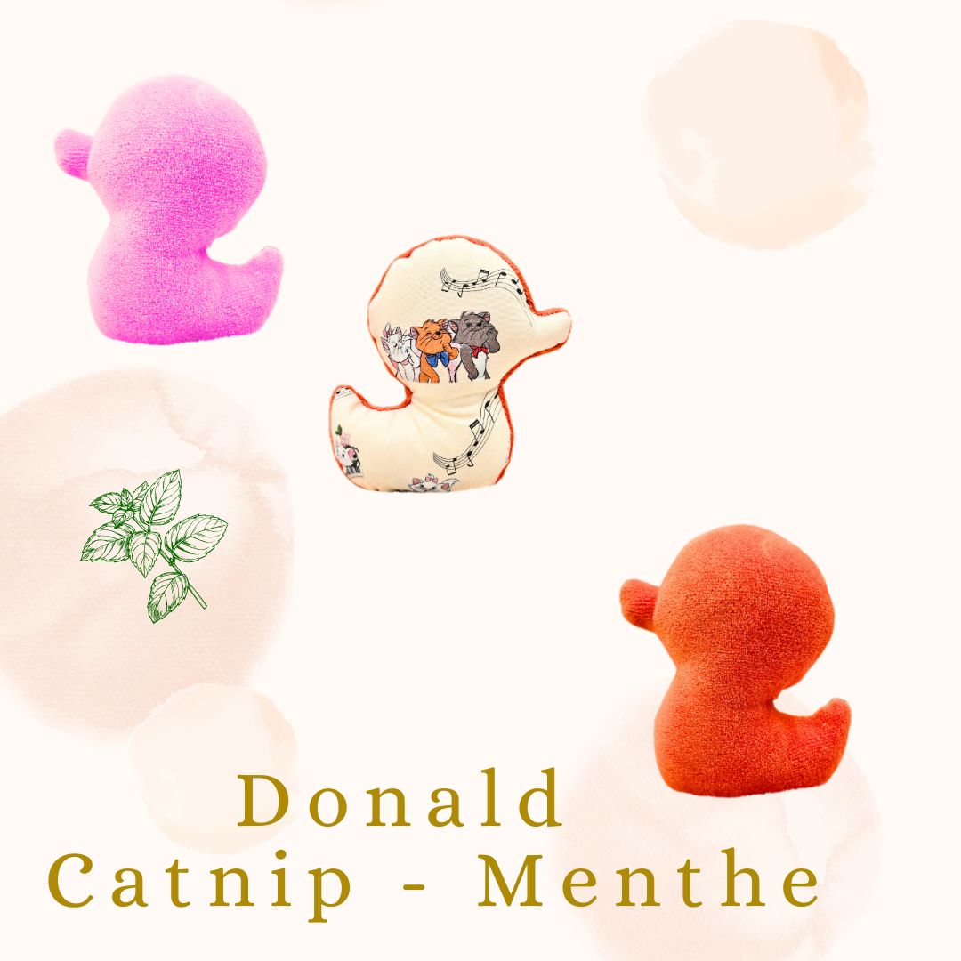 🐾 Donald le Petit Canard:Feline Fantasy Catnip Menthe🍃