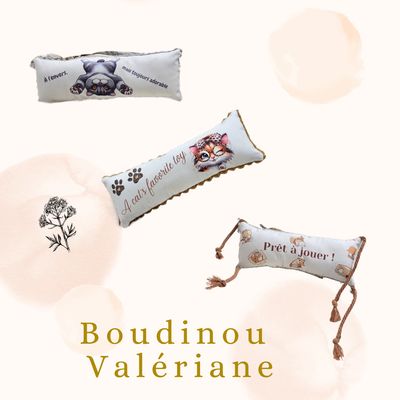🐾Le Boudinou - Édition Feline Fantasy Valériane 🌿🌸