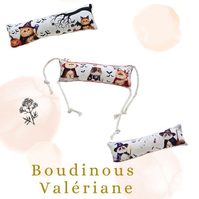 🎃🐾 Le Boudinou – Édition Halloween 🖤👻 Valériane