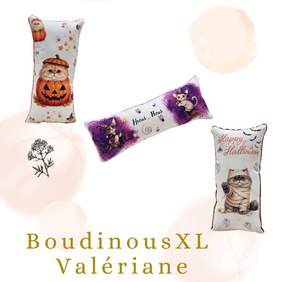 🎃🐾 Le Boudinou XL – Édition Halloween 🖤👻Valériane