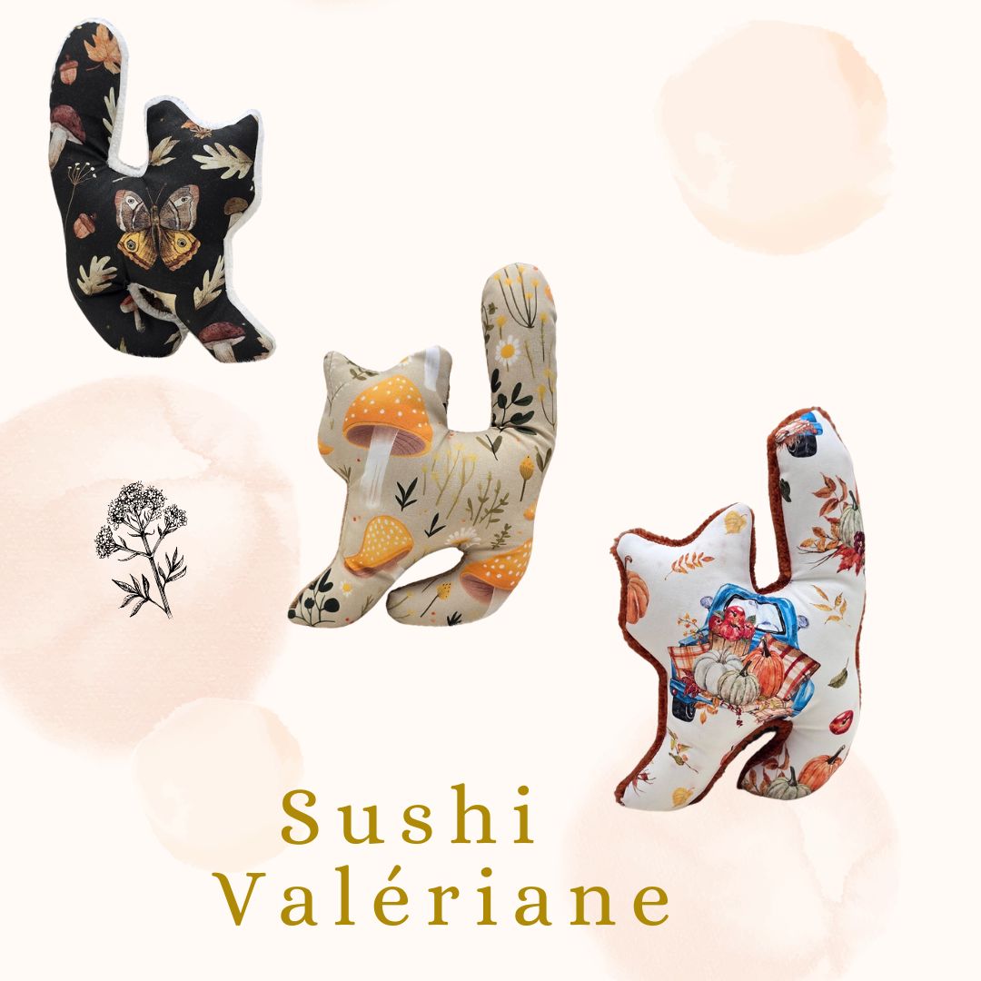 🎃 Sushi Halloween &amp; Autumn Édition 🍂🖤 Valériane