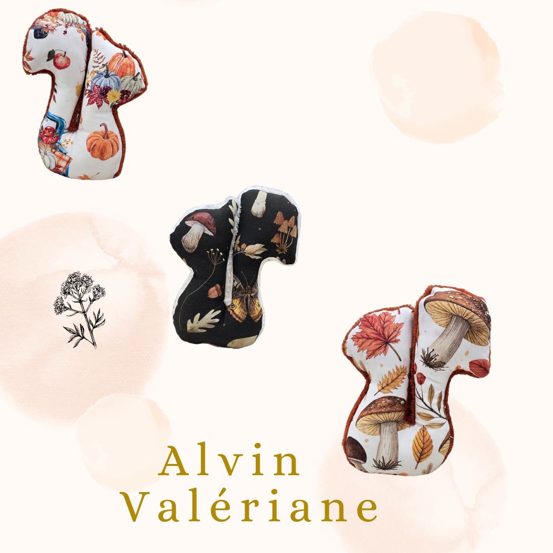 🎃🐿️ Alvin  - Halloween &amp; Autumn Édition 🍂🖤 Valériane