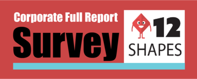 Full Report Corporate 12 Shapes Survey