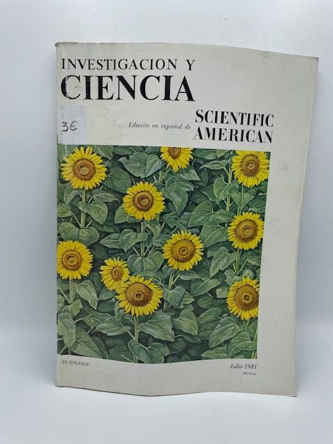 EL GIRASOL - JULIO 1981