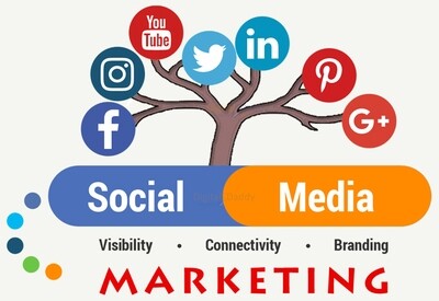 Premium Social Media Account Management package