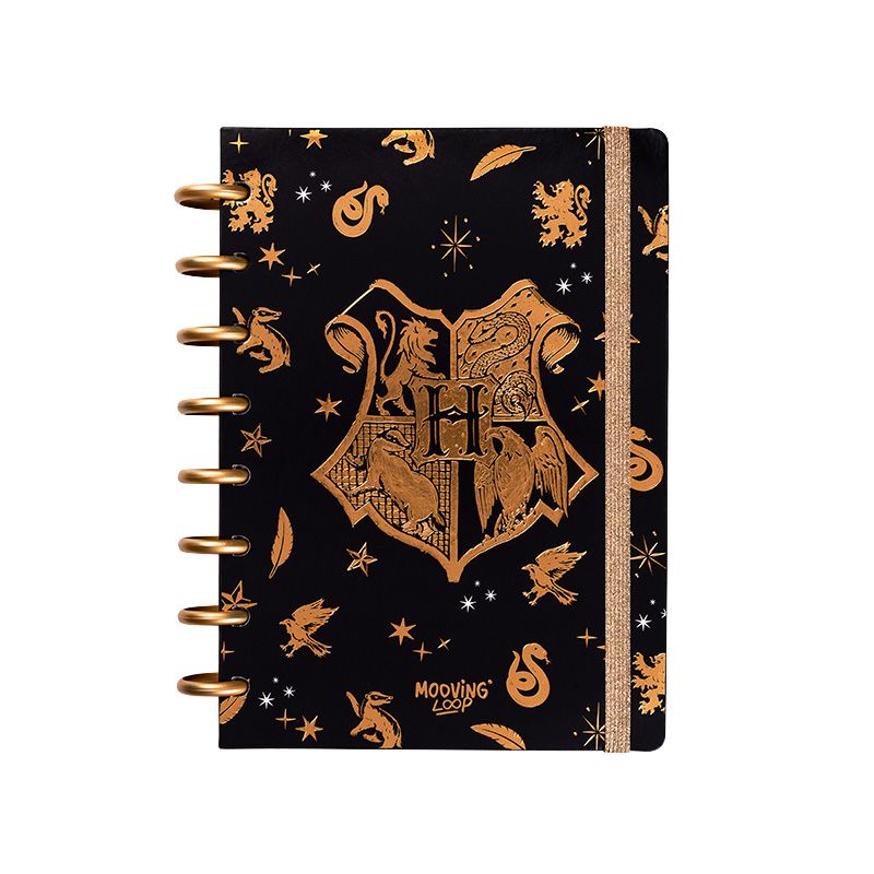 Cuaderno Loop