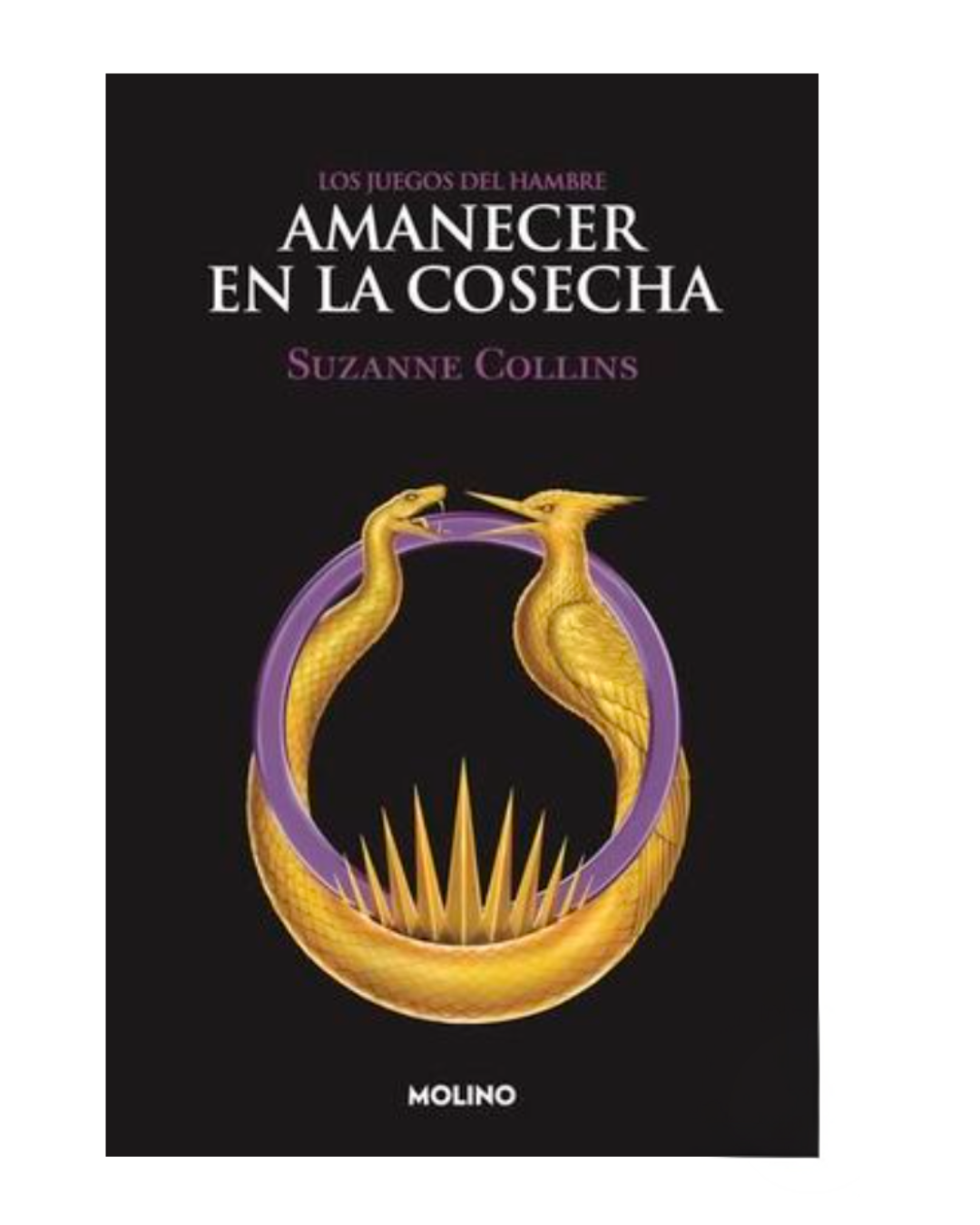 Los Juegos del Hambre 5