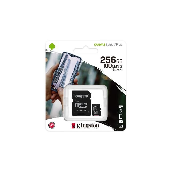 256GB MicroSD CL10 100MB/s