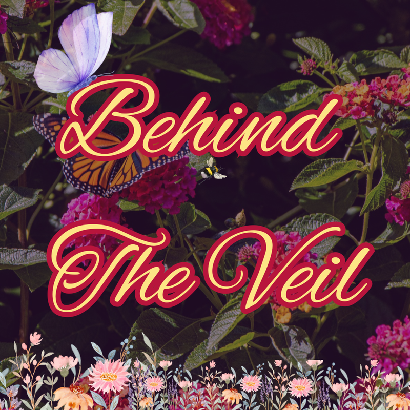 ёяжл Behind The Veil ёяжл