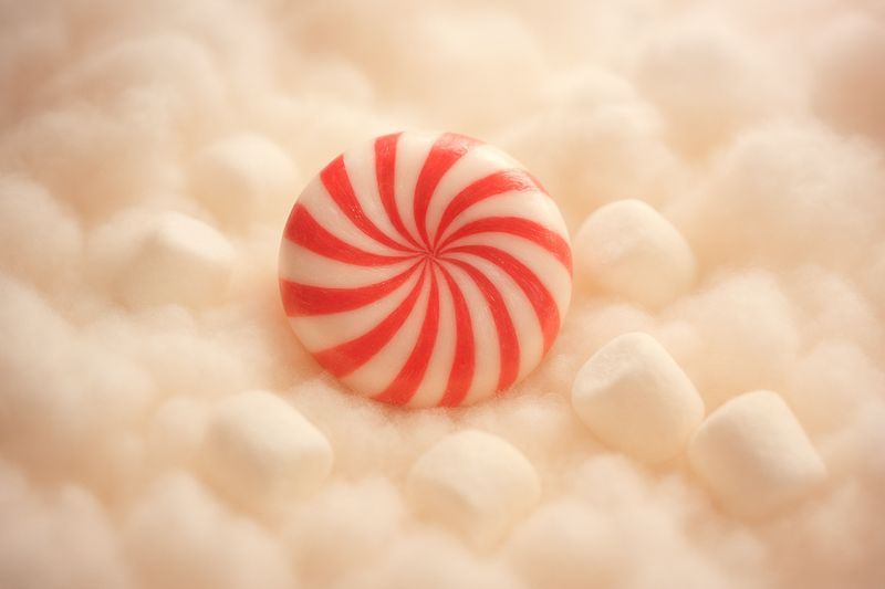 Mint Condition” Body Butter