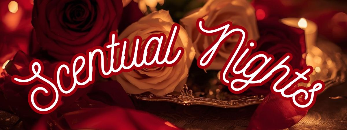 Scentual Nights Bundle