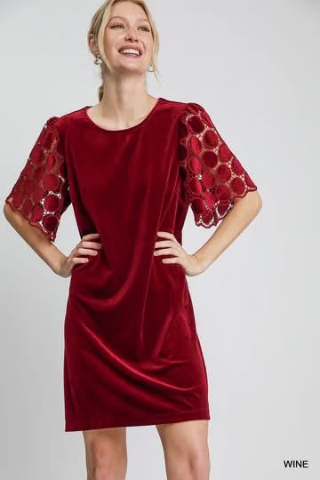 Merlot Velvet Dress