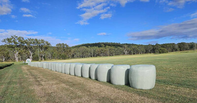 Grassy Lucerne Wrapped Round Bale - available in store