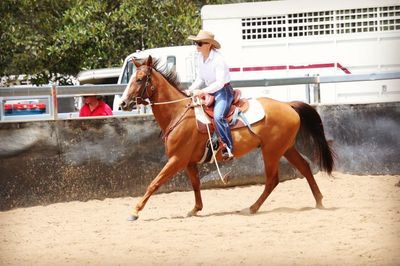 Tack &amp; equipment