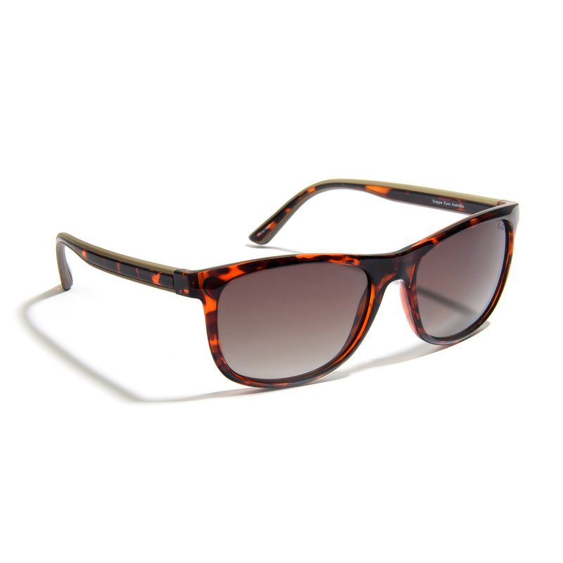 Gidgee Sunglasses - Fender Range