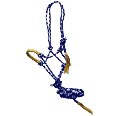Halters &amp; leads