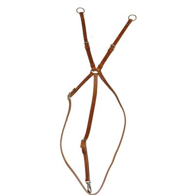 Running Martingale Harness