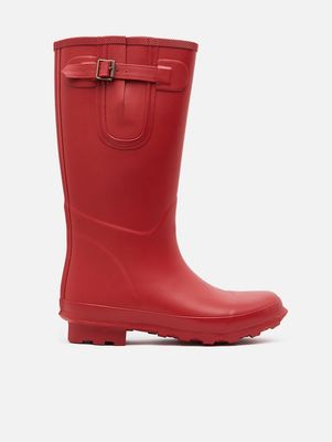 Baxter - Waterford Welly