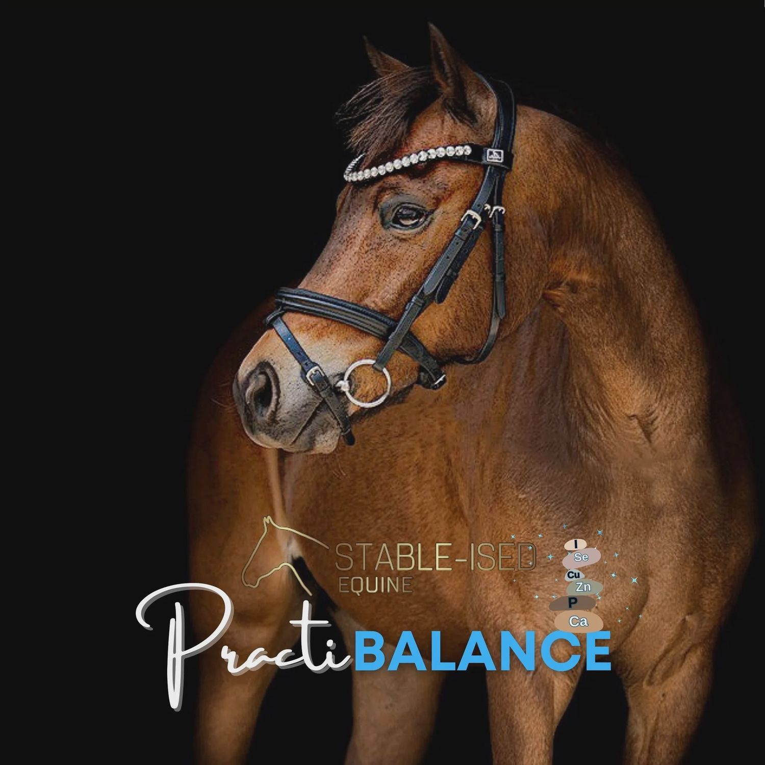 Stable-Ised Equine PractiBALANCE