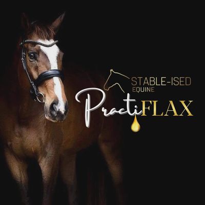 Stable-Ised Equine - PractiFLAX available in 2 sizes