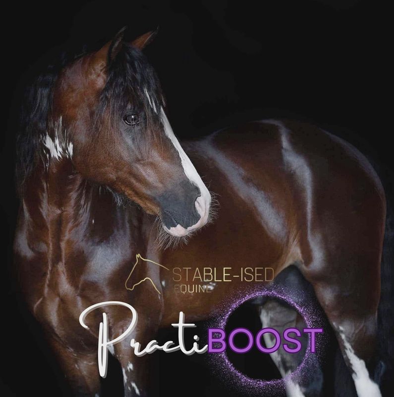 Stable-Ised Equine PractiBOOST